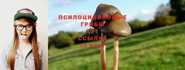 амф Богородицк